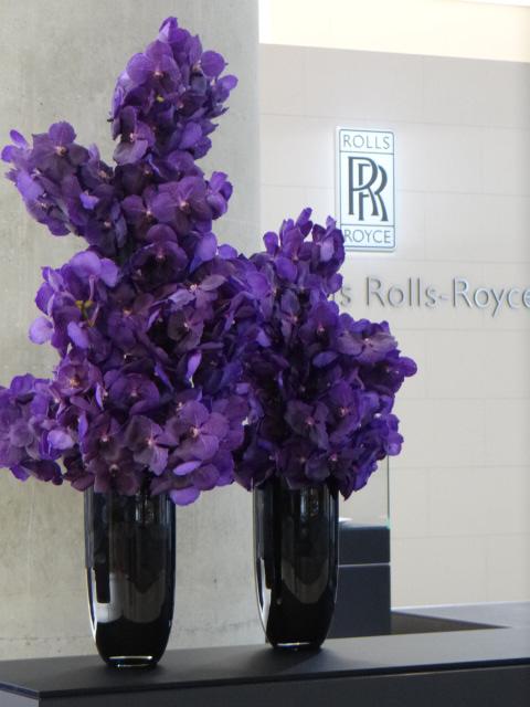 netzwerk-fashionandfantasy-goldmann-blumenkunst-rolls-royce-prachtvolle-orchideen-in-glasvasen